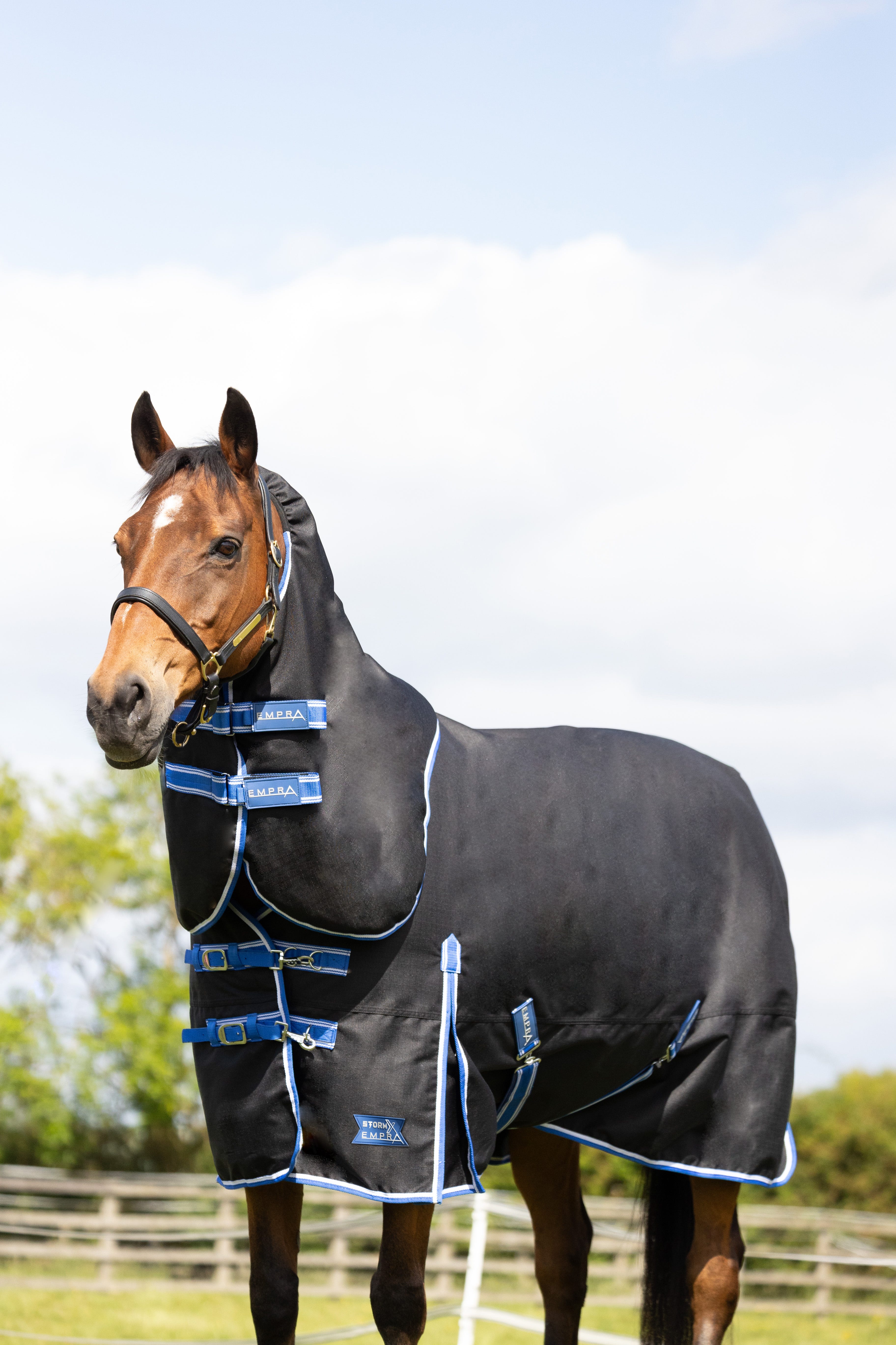 StormX Empra Extra 200g Turnout Rug with Detachable Neck image 8